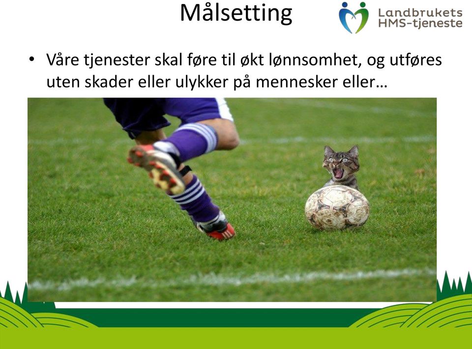 lønnsomhet, og utføres uten