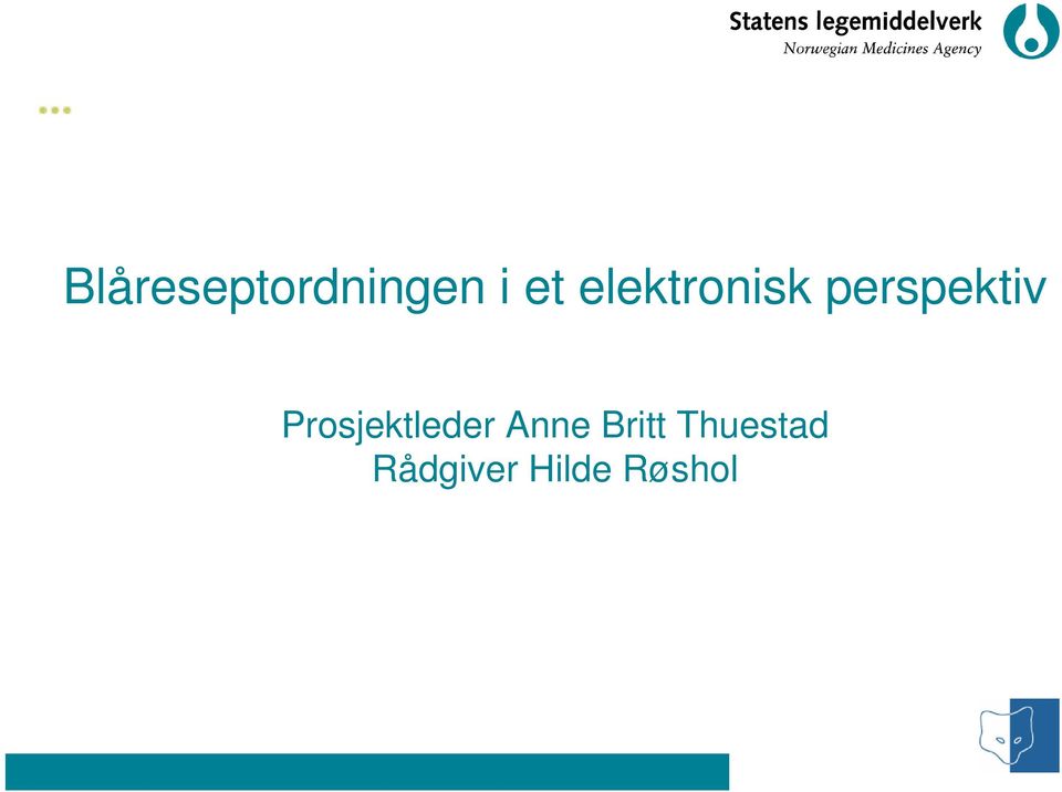 Prosjektleder Anne Britt