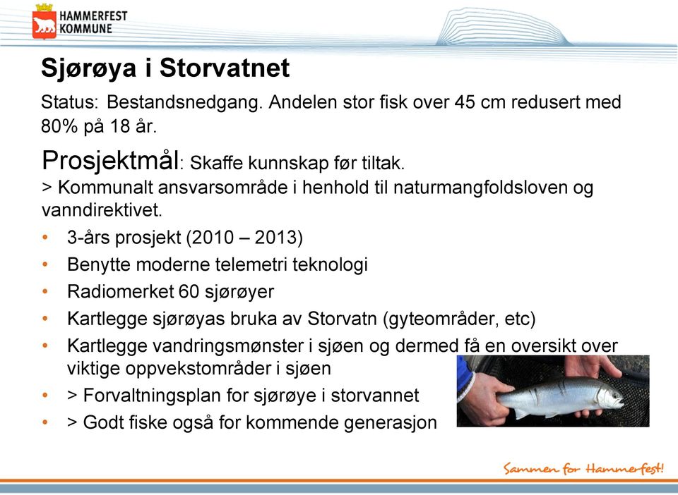 3-års prosjekt (2010 2013) Benytte moderne telemetri teknologi Radiomerket 60 sjørøyer Kartlegge sjørøyas bruka av Storvatn