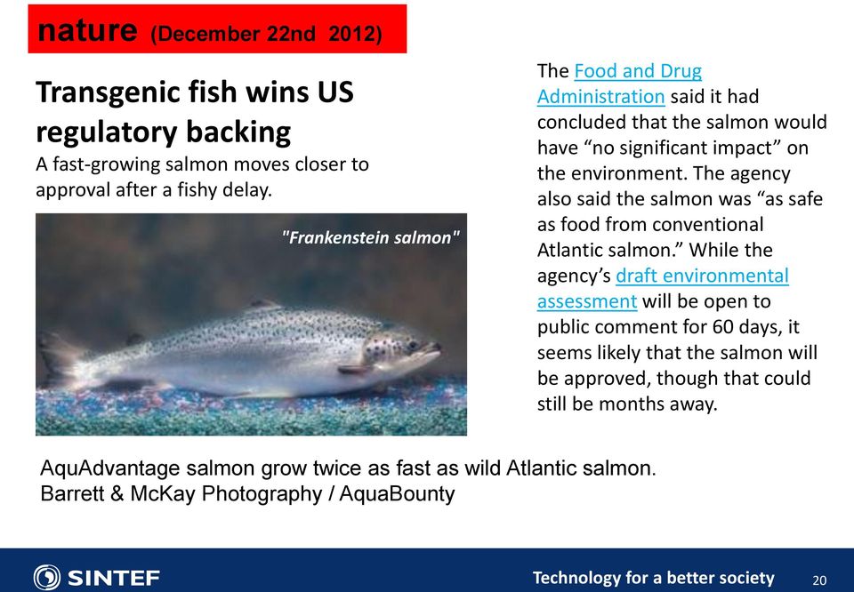 The agency also said the salmon was as safe as food from conventional Atlantic salmon.