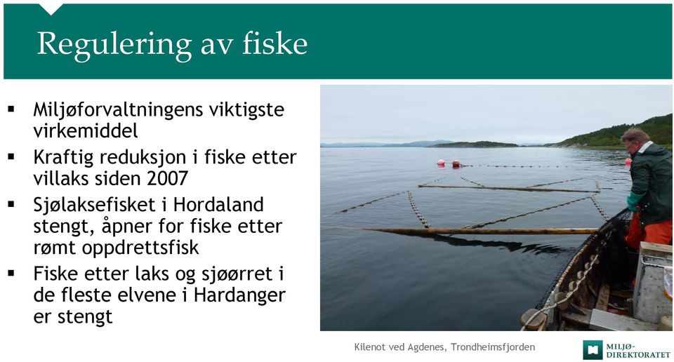 stengt, åpner for fiske etter rømt oppdrettsfisk Fiske etter laks og