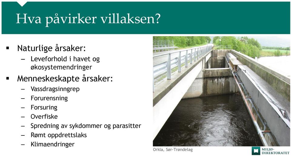 Menneskeskapte årsaker: Vassdragsinngrep Forurensning