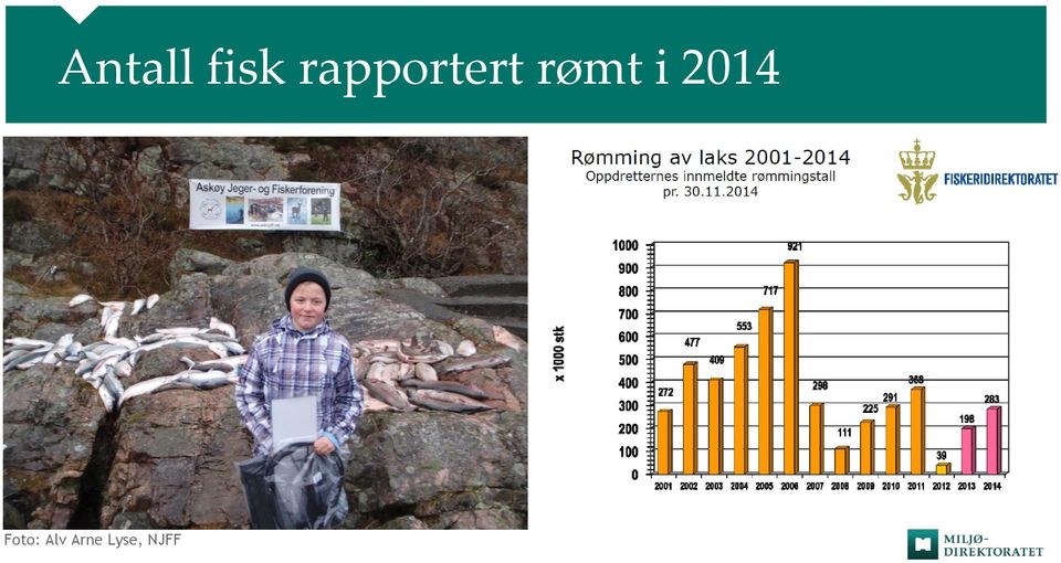 rømt i 2014