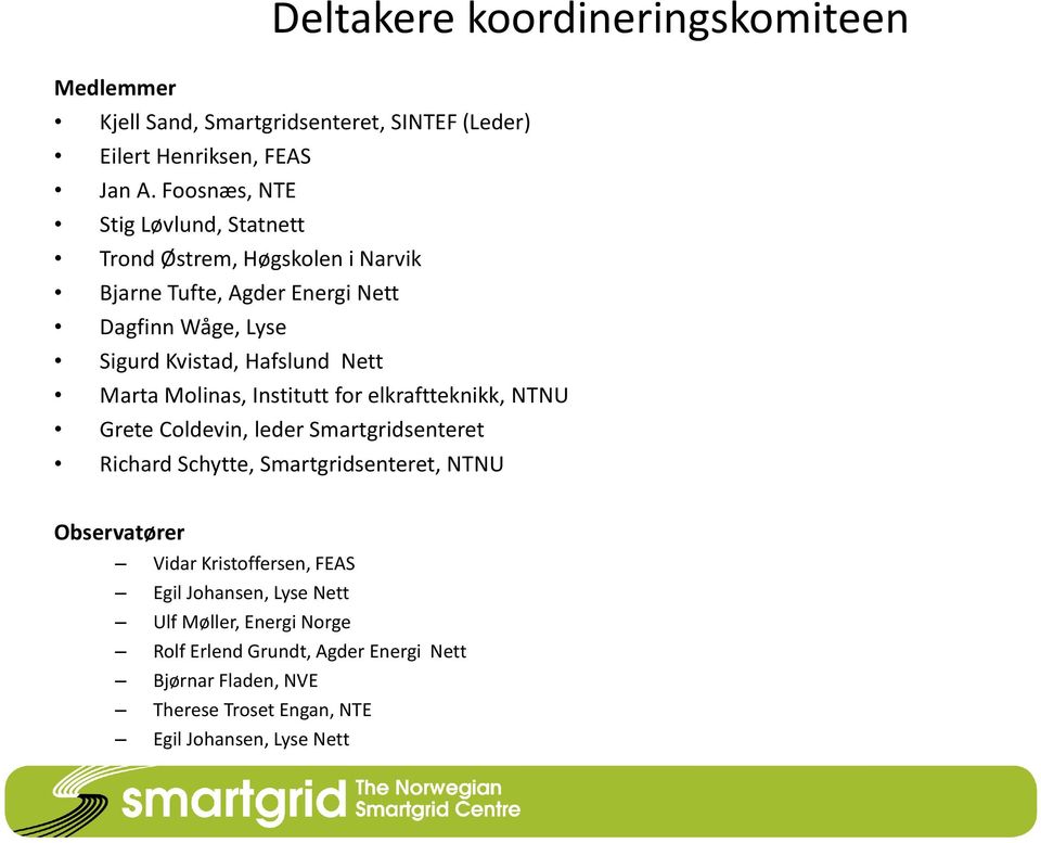 Nett Marta Molinas, Institutt for elkraftteknikk, NTNU Grete Coldevin, leder Smartgridsenteret Richard Schytte, Smartgridsenteret, NTNU Observatører