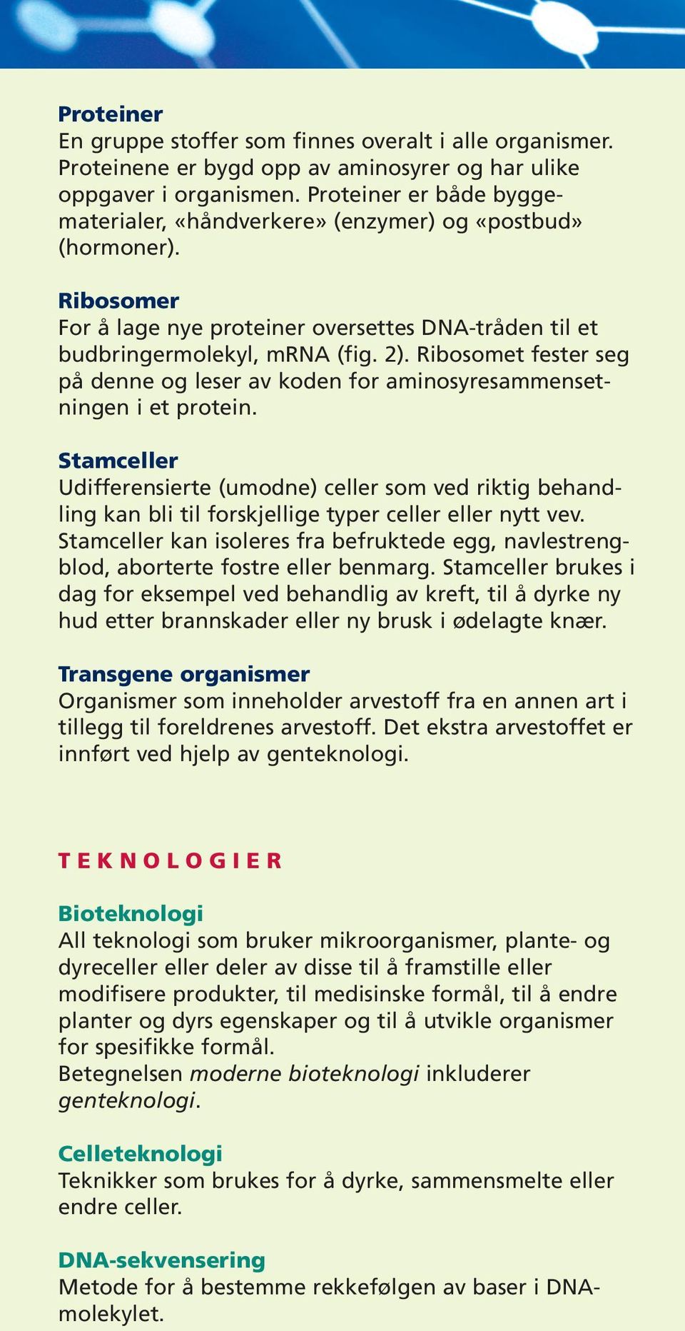 Ribosomet fester seg på denne og leser av koden for aminosyresammensetningen i et protein.