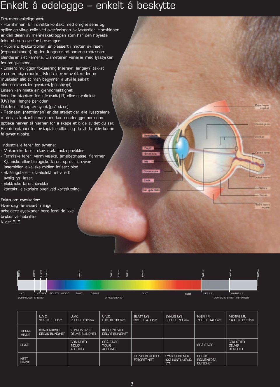 Pupillen: (lyskontrollen) er plassert i midten av irisen (regnbuehinnen) og den fungerer på samme måte som blenderen i et kamera. Diameteren varierer med lysstyrken fra omgivelsene.
