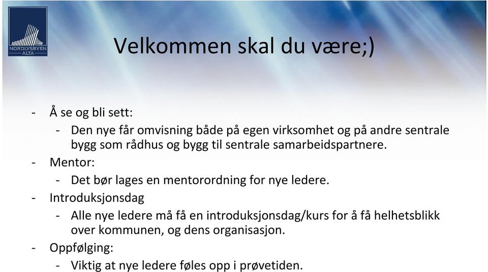 - Mentor: - Det bør lages en mentorordning for nye ledere.