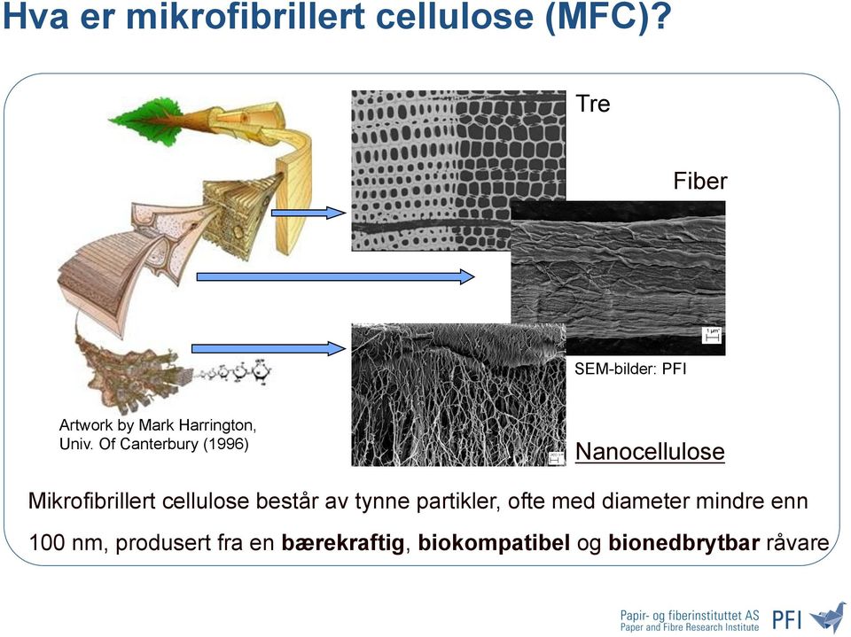 Of Canterbury (1996) Nanocellulose Mikrofibrillert cellulose består av