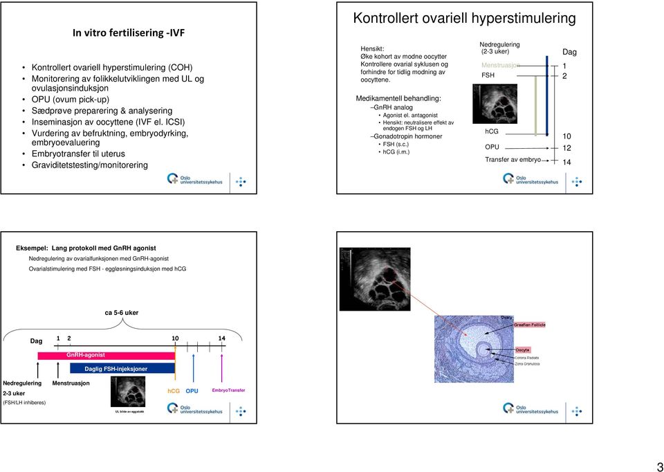 ICSI) Vurdering av befruktning, embryodyrking, embryoevaluering Embryotransfer til uterus Graviditetstesting/monitorering Kontrollert ovariell hyperstimulering Hensikt: Øke kohort av modne oocytter