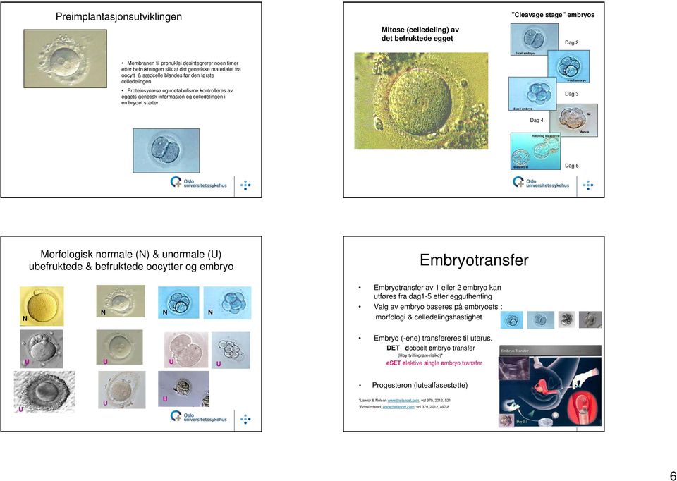 8-cell embryo Dag 4 4-cell embryo Dag 3 Hatching blastocyst Morula Blastocyst Dag 5 Morfologisk normale (N) & unormale () ubefruktede & befruktede oocytter og embryo Embryotransfer N N N N