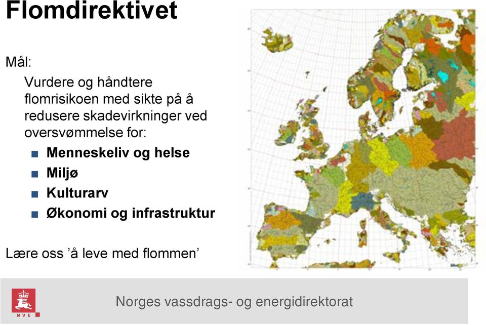 skadevirkninger ved oversvømmelse for: Menneskeliv