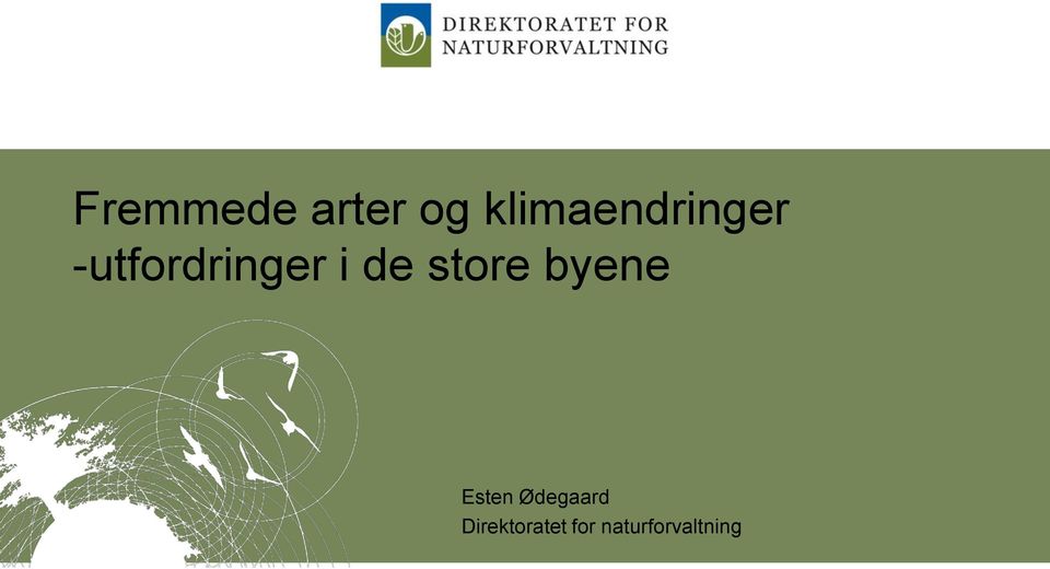 -utfordringer i de store