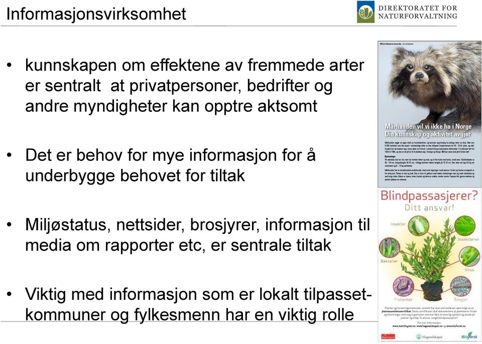 behovet for tiltak Miljøstatus, nettsider, brosjyrer, informasjon til media om rapporter etc, er