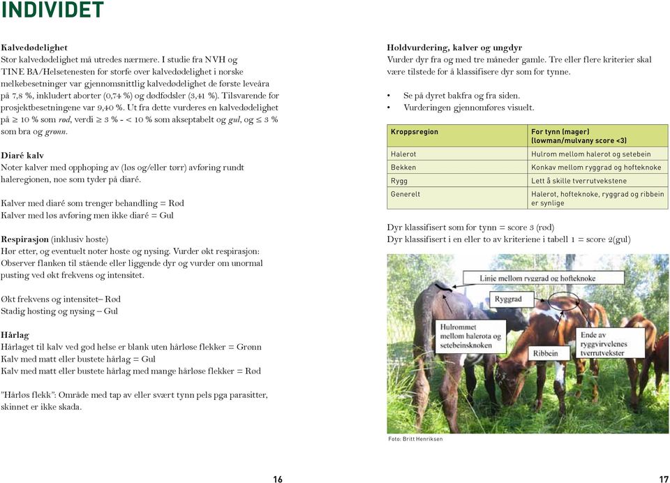 dødfødsler (3,41 %). Tilsvarende for prosjektbesetningene var 9,40 %. Ut fra dette vurderes en kalvedødelighet på 10 % som rød, verdi 3 % - < 10 % som akseptabelt og gul, og 3 % som bra og grønn.