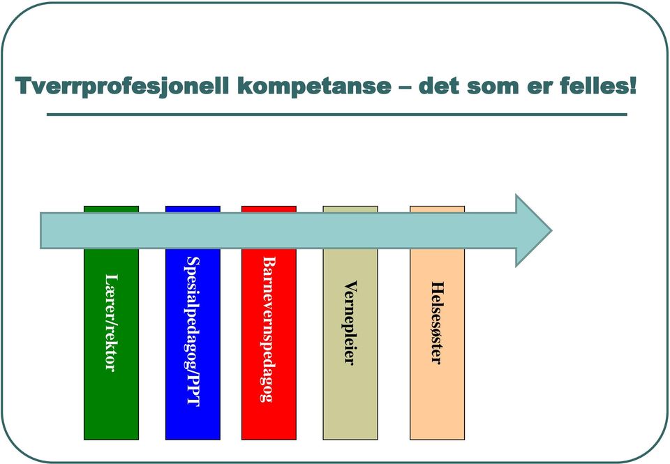 Helsesøster Vernepleier