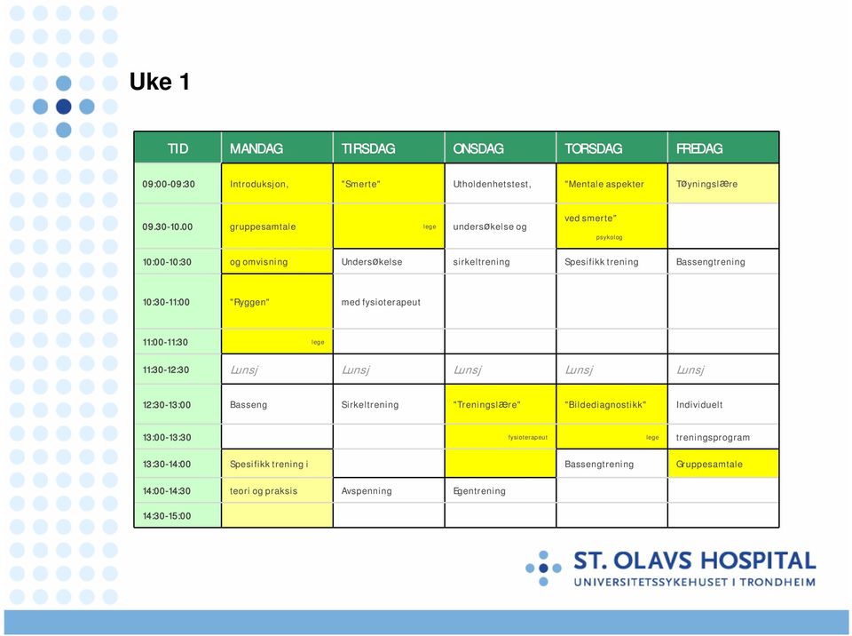 "Ryggen" med fysioterapeut 11:00-11:30 lege 11:30-12:30 Lunsj Lunsj Lunsj Lunsj Lunsj 12:30-13:00 Basseng Sirkeltrening "Treningslære" "Bildediagnostikk"
