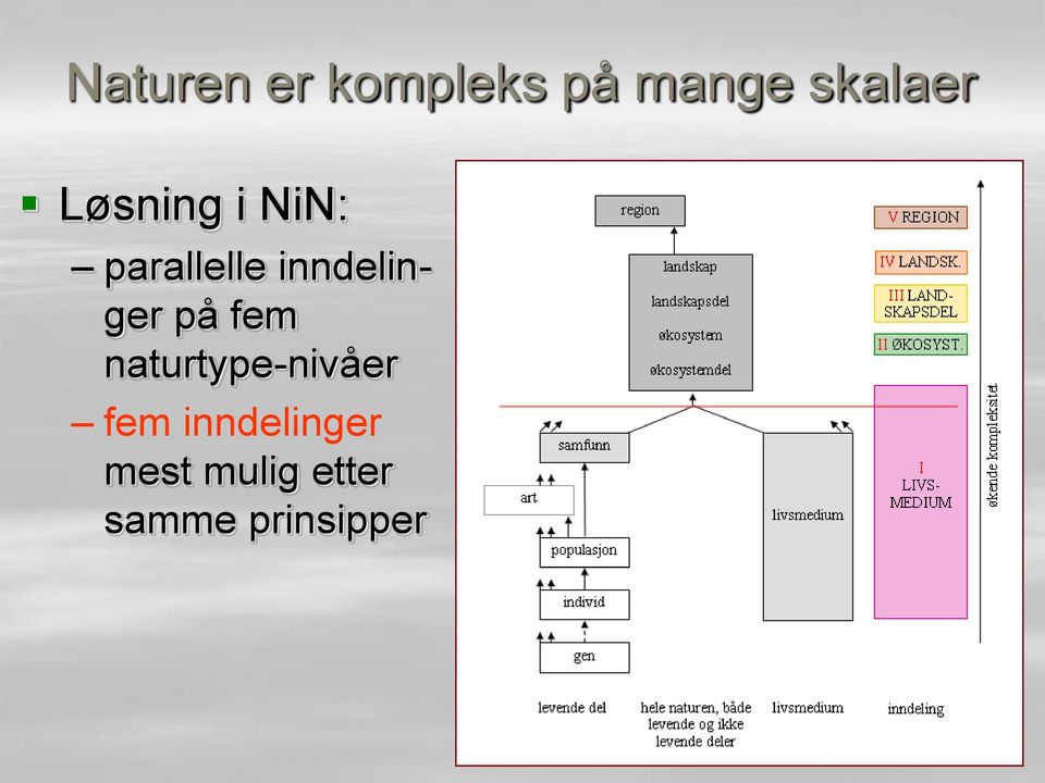 inndelinger på fem naturtype-nivåer