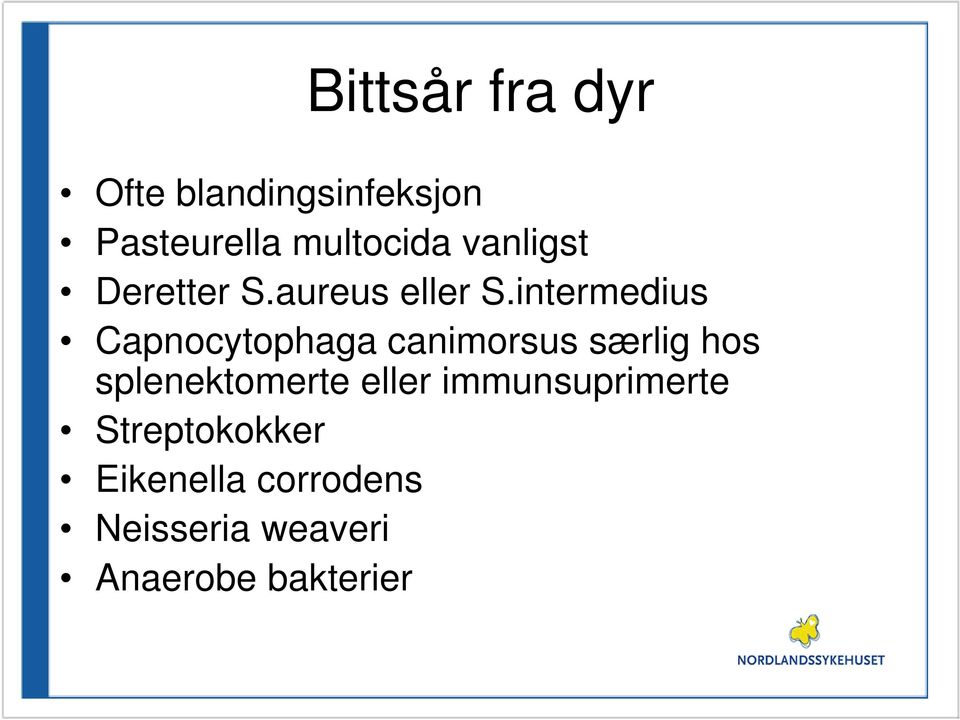 intermedius Capnocytophaga canimorsus særlig hos splenektomerte