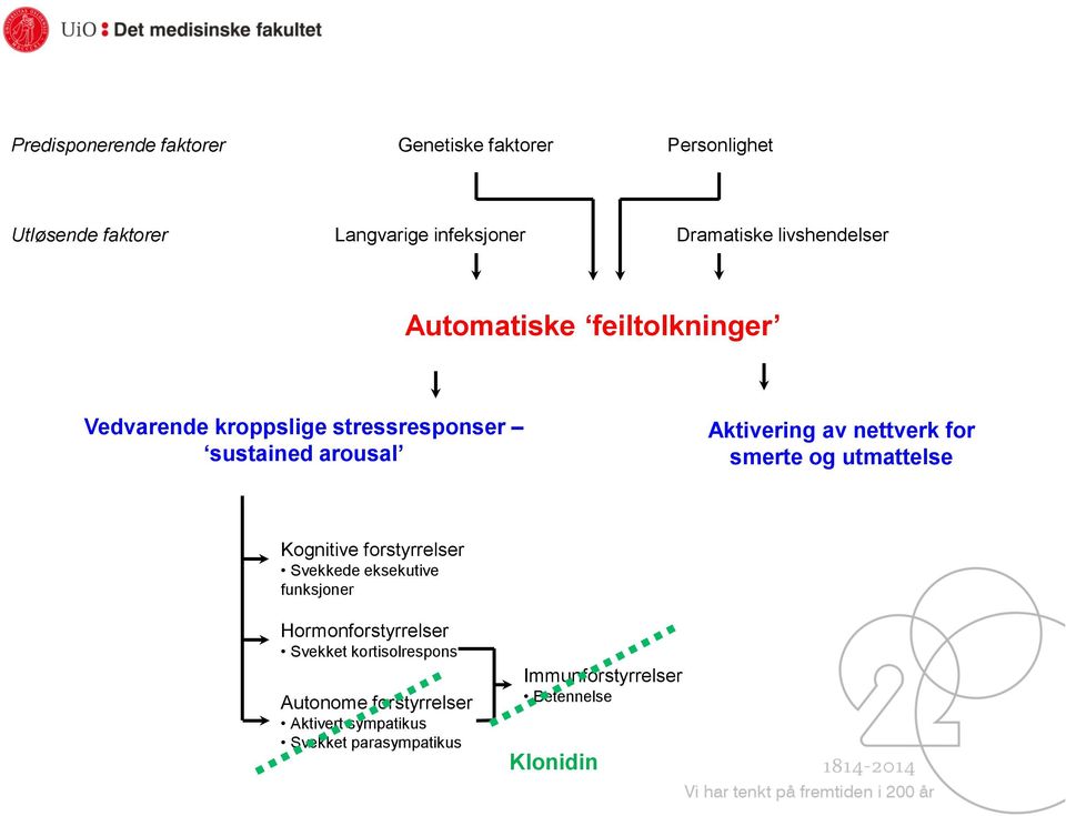 nettverk for smerte og utmattelse Kognitive forstyrrelser Svekkede eksekutive funksjoner Hormonforstyrrelser