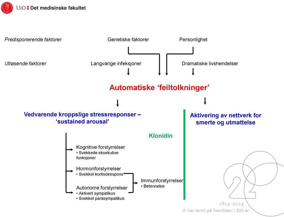 nettverk for smerte og utmattelse Klonidin Kognitive forstyrrelser Svekkede eksekutive funksjoner