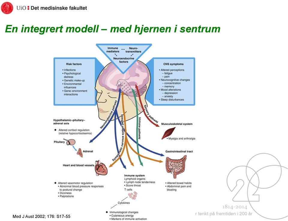 hjernen i sentrum