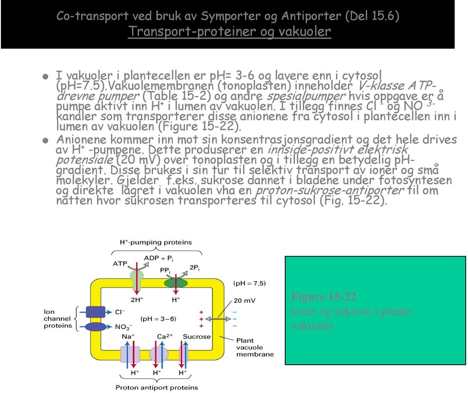 I tillegg finnes Cl - og NO 3- kanaler som transporterer disse anionene fra cytosol i plantecellen inn i lumen av vakuolen (Figure 15-22).