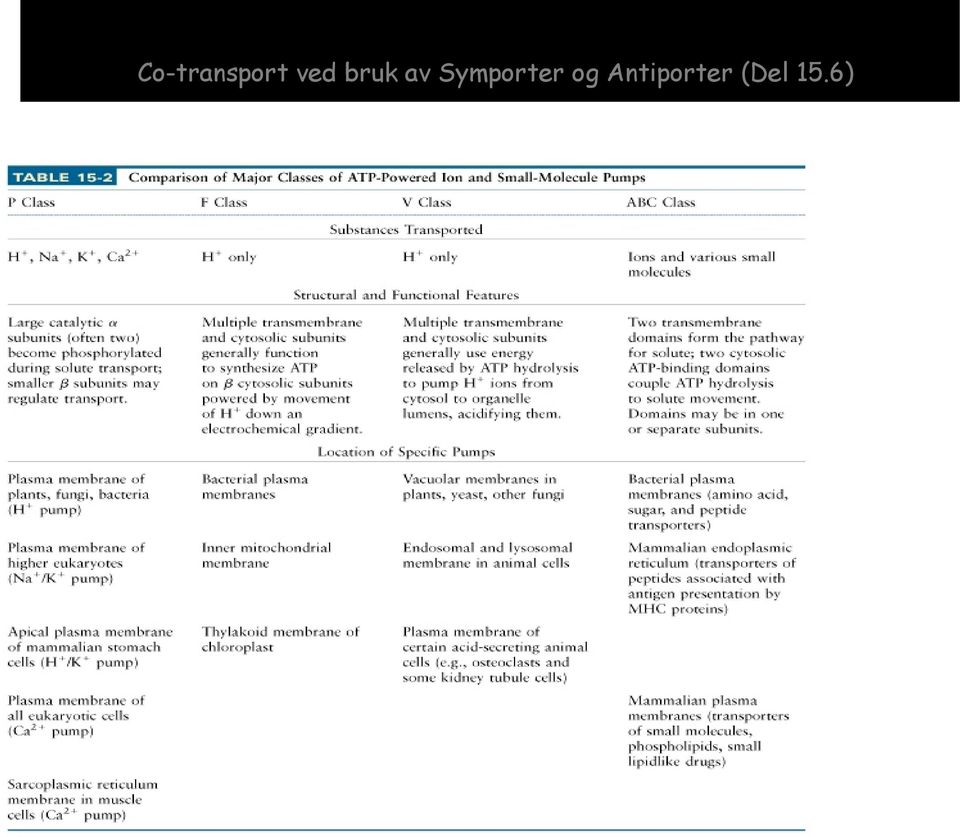 Symporter og