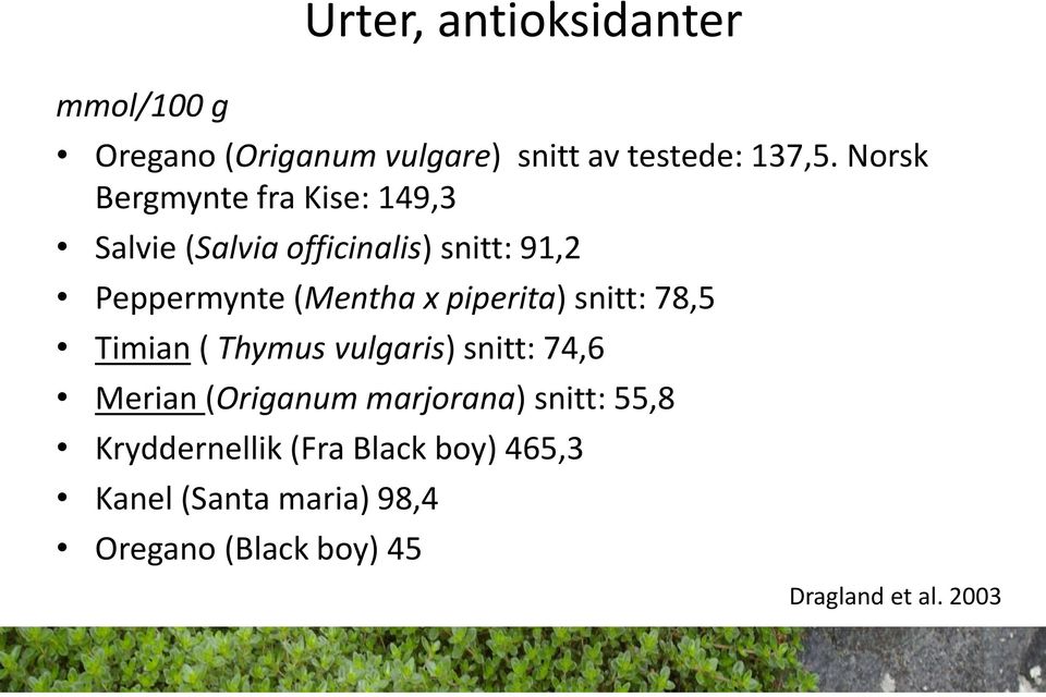 piperita) snitt: 78,5 Timian ( Thymus vulgaris) snitt: 74,6 Merian (Origanum marjorana) snitt: