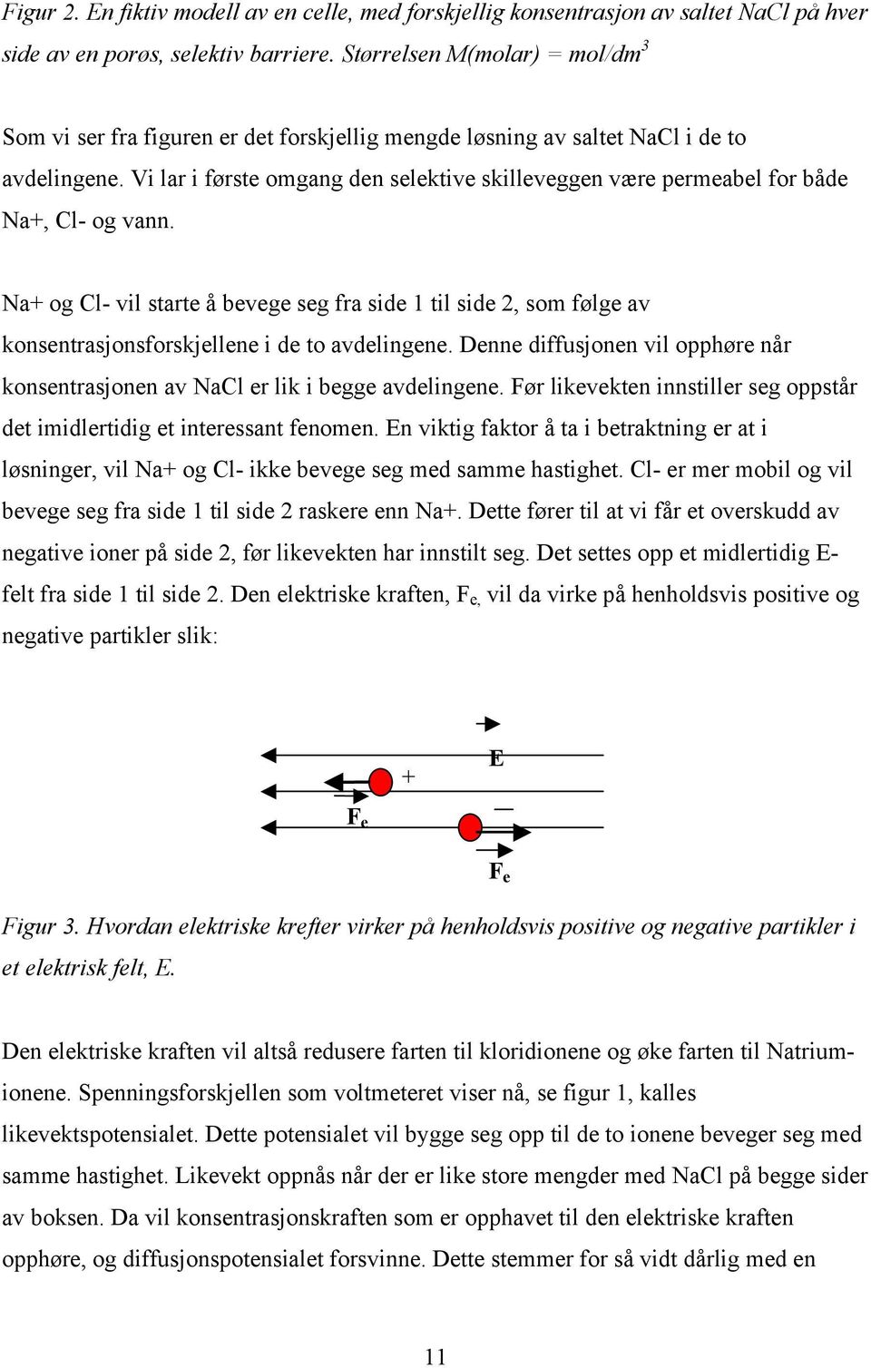 Vi lar i første omgang den selektive skilleveggen være permeabel for både Na+, Cl- og vann.