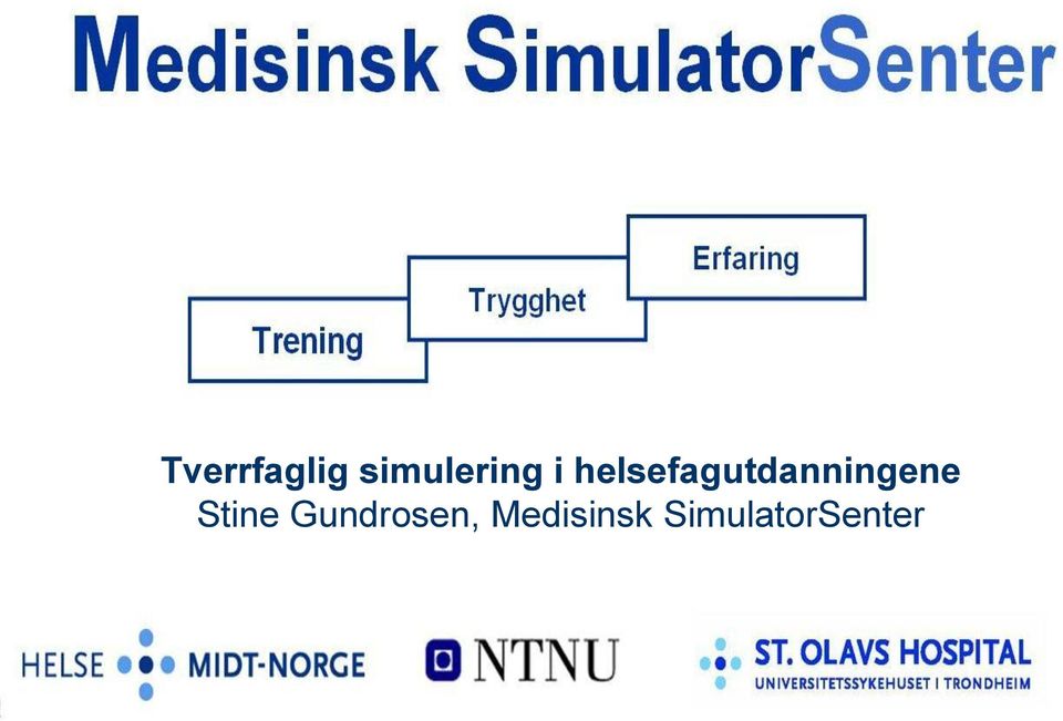 Tverrfaglig simulering i