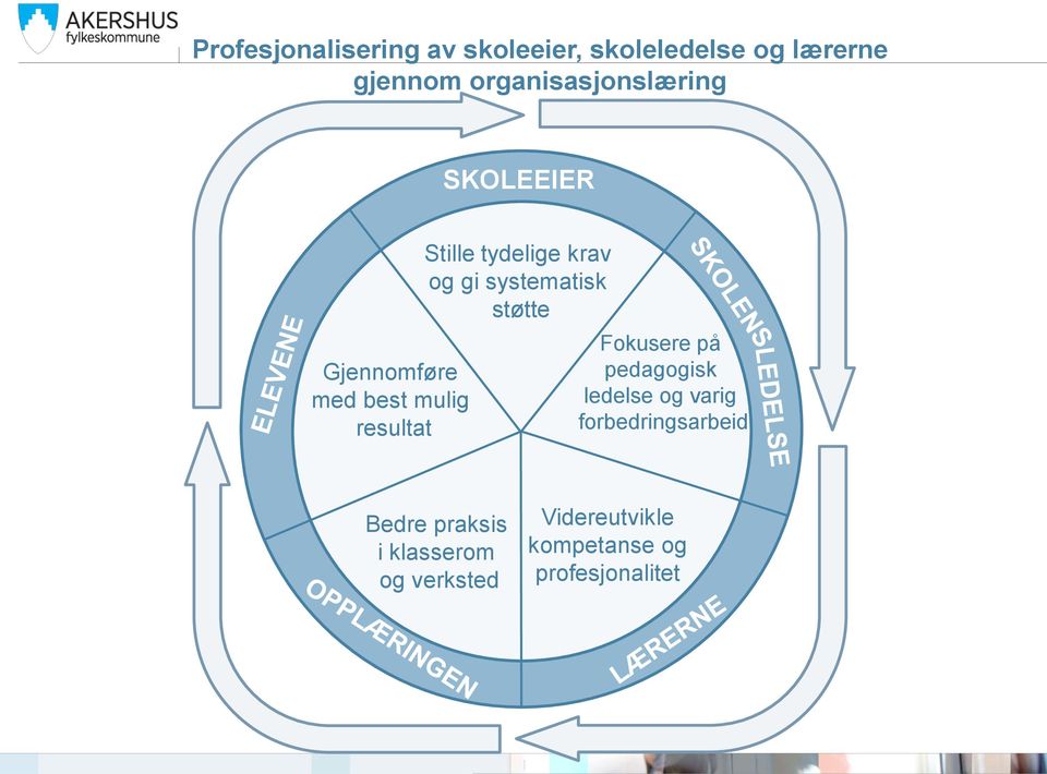 tydelige krav og gi systematisk støtte Fokusere på pedagogisk ledelse og varig