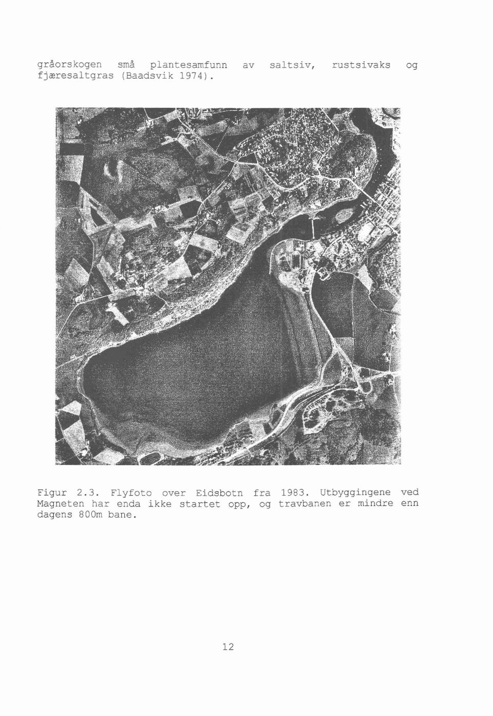 Flyfoto over Eidsbotn fra 1983.