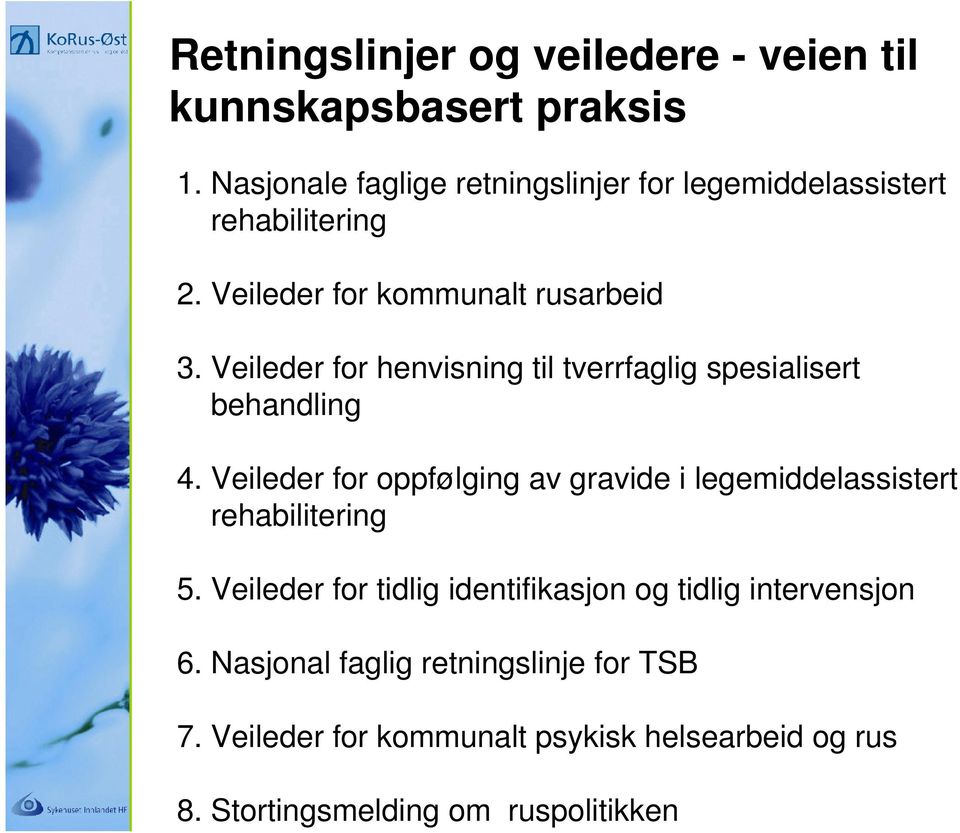 Veileder for henvisning til tverrfaglig spesialisert behandling 4.