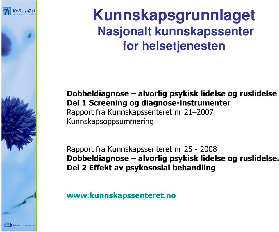 Kunnskapssenteret nr 21 2007 Kunnskapsoppsummering Rapport fra Kunnskapssenteret nr 25-2008