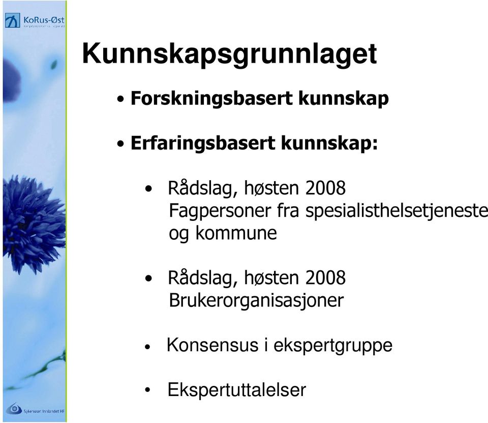 Fagpersoner fra spesialisthelsetjeneste og kommune