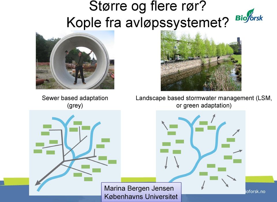 stormwater management (LSM, or green