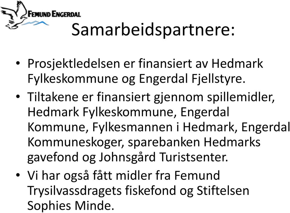 Tiltakene er finansiert gjennom spillemidler, Hedmark Fylkeskommune, Engerdal Kommune,