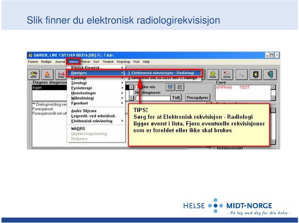 elektronisk