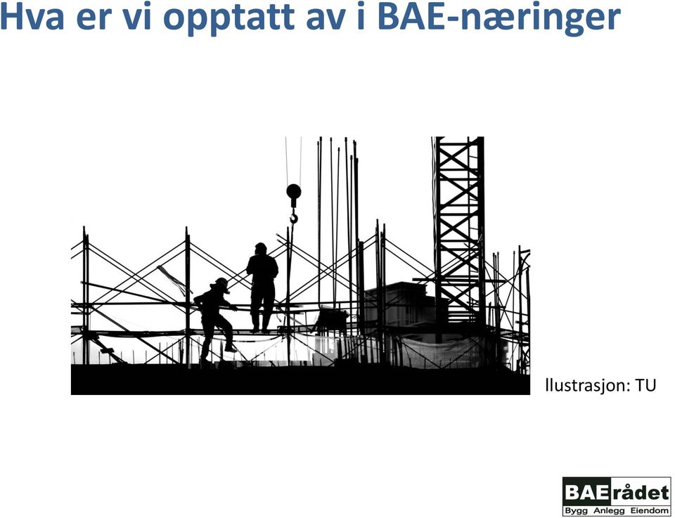 BAE-næringer