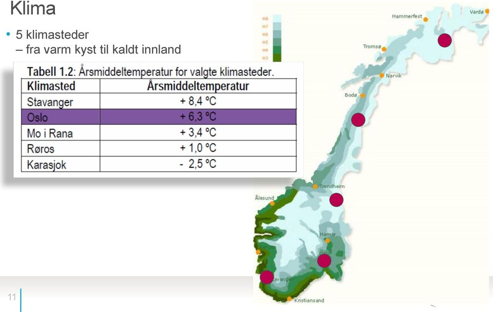 fra varm kyst