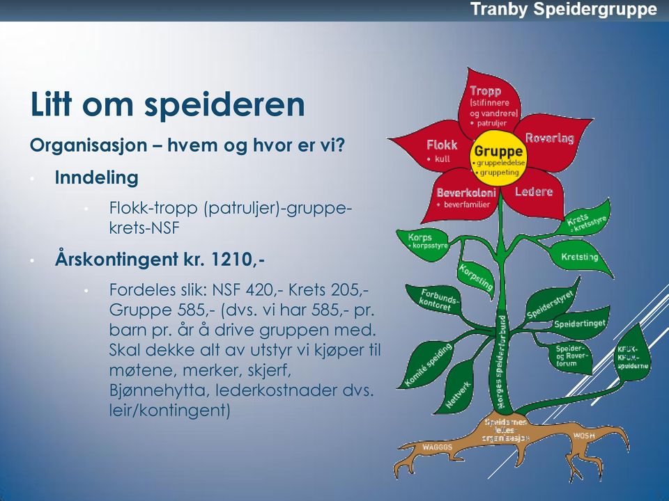 1210,- Fordeles slik: NSF 420,- Krets 205,- Gruppe 585,- (dvs. vi har 585,- pr.