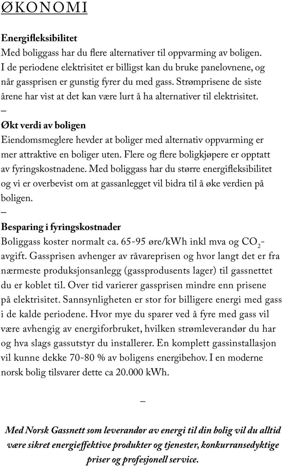 Strømprisene de siste årene har vist at det kan være lurt å ha alternativer til elektrisitet.