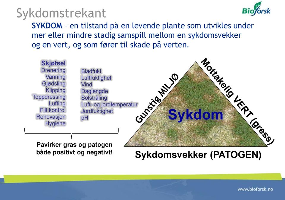 Skjøtsel Drenering Vanning Gjødsling Klipping Toppdressing Lufting Filt kontrol Renovasjon Hygiene Bladfukt