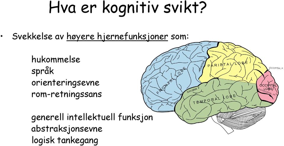 hukommelse språk orienteringsevne