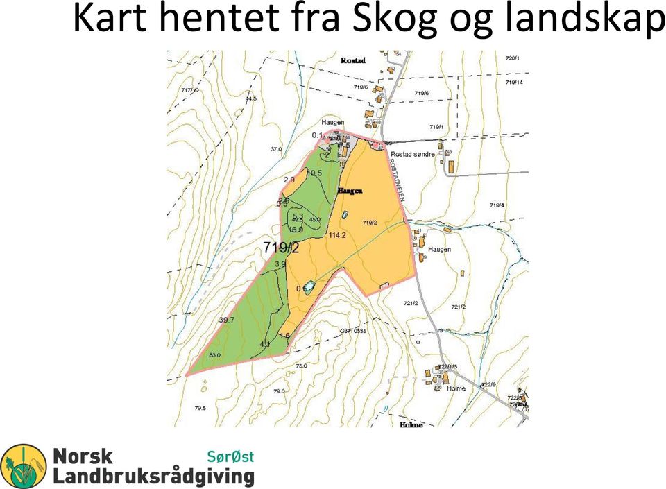 fra Skog