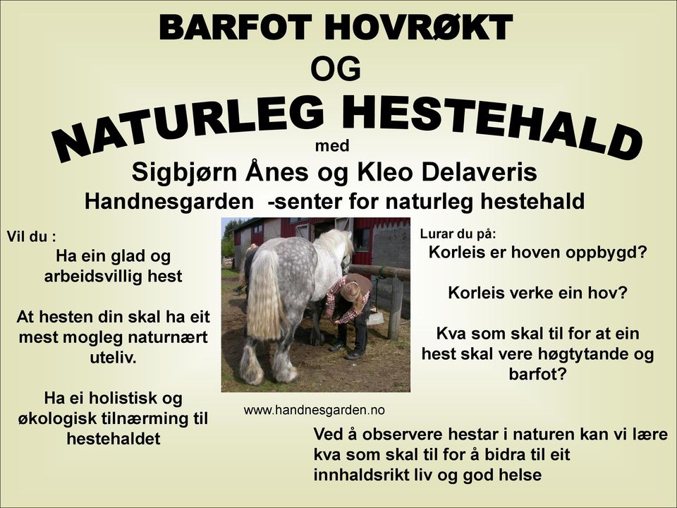 Ha ei holistisk og økologisk tilnærming til hestehaldet www.handnesgarden.no Lurar du på: Korleis er hoven oppbygd?