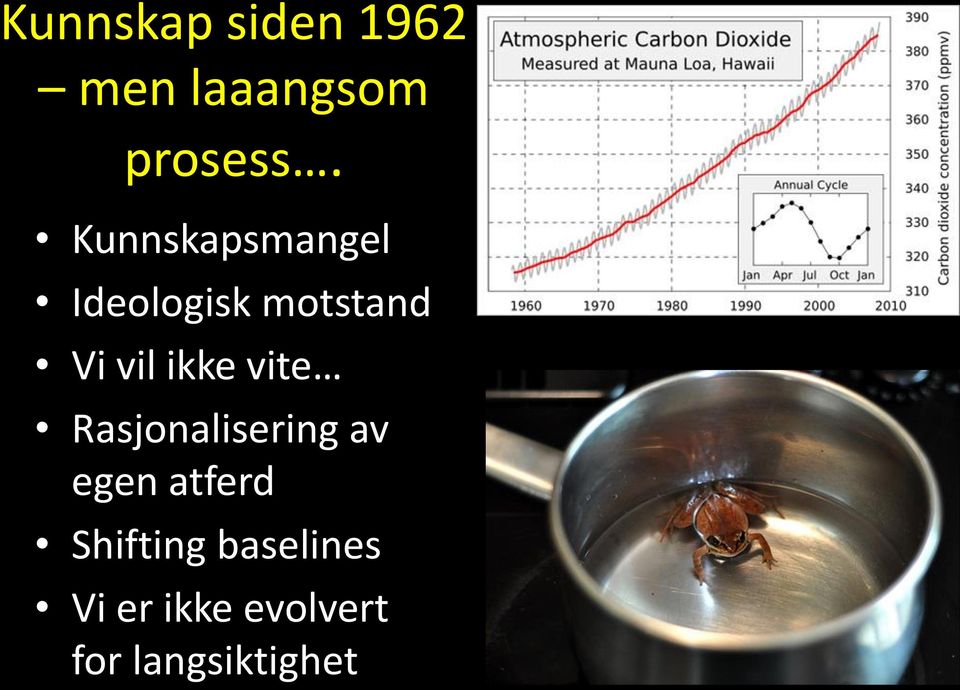 ikke vite Rasjonalisering av egen atferd