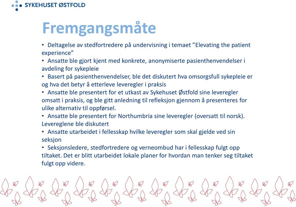 leveregler omsatt i praksis, og ble gitt anledning til refleksjon gjennom å presenteres for ulike alternativ til oppførsel. Ansatte ble presentert for Northumbria sine leveregler (oversatt til norsk).