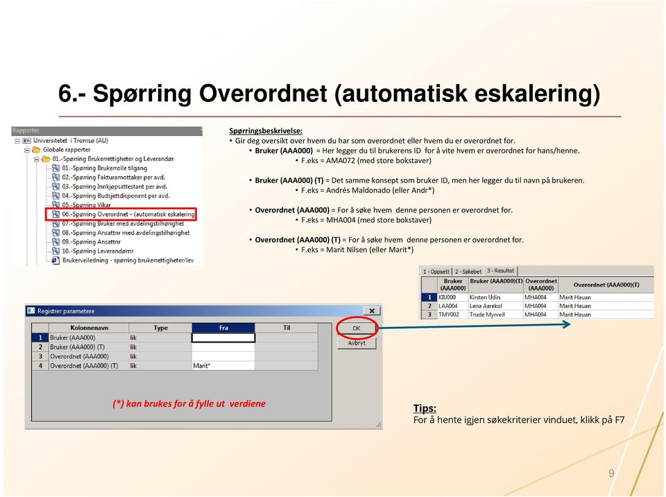 eks = AMA072 (med store bokstaver) Bruker (AAA000) (T) = Det samme konsept som bruker ID, men her legger du til navn på brukeren. F.