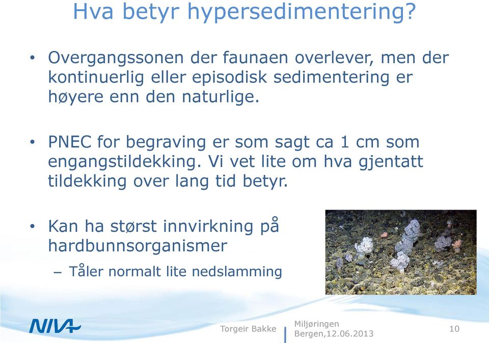 høyere enn den naturlige. PNEC for begraving er som sagt ca 1 cm som engangstildekking.